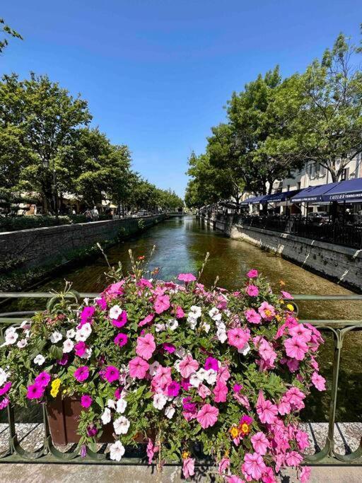 Lou Paseo : Appartement Brocante Centre Historique L'Isle-sur-la-Sorgue Kültér fotó
