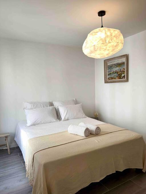 Lou Paseo : Appartement Brocante Centre Historique L'Isle-sur-la-Sorgue Kültér fotó